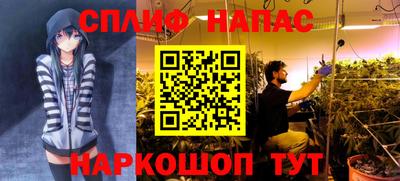 дурь Можга