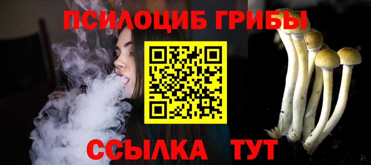 Галлюциногенные грибы Psilocybe  Вход с VPN  Псилоцибиновые грибы ЛСД  Славянск-на-Кубани 